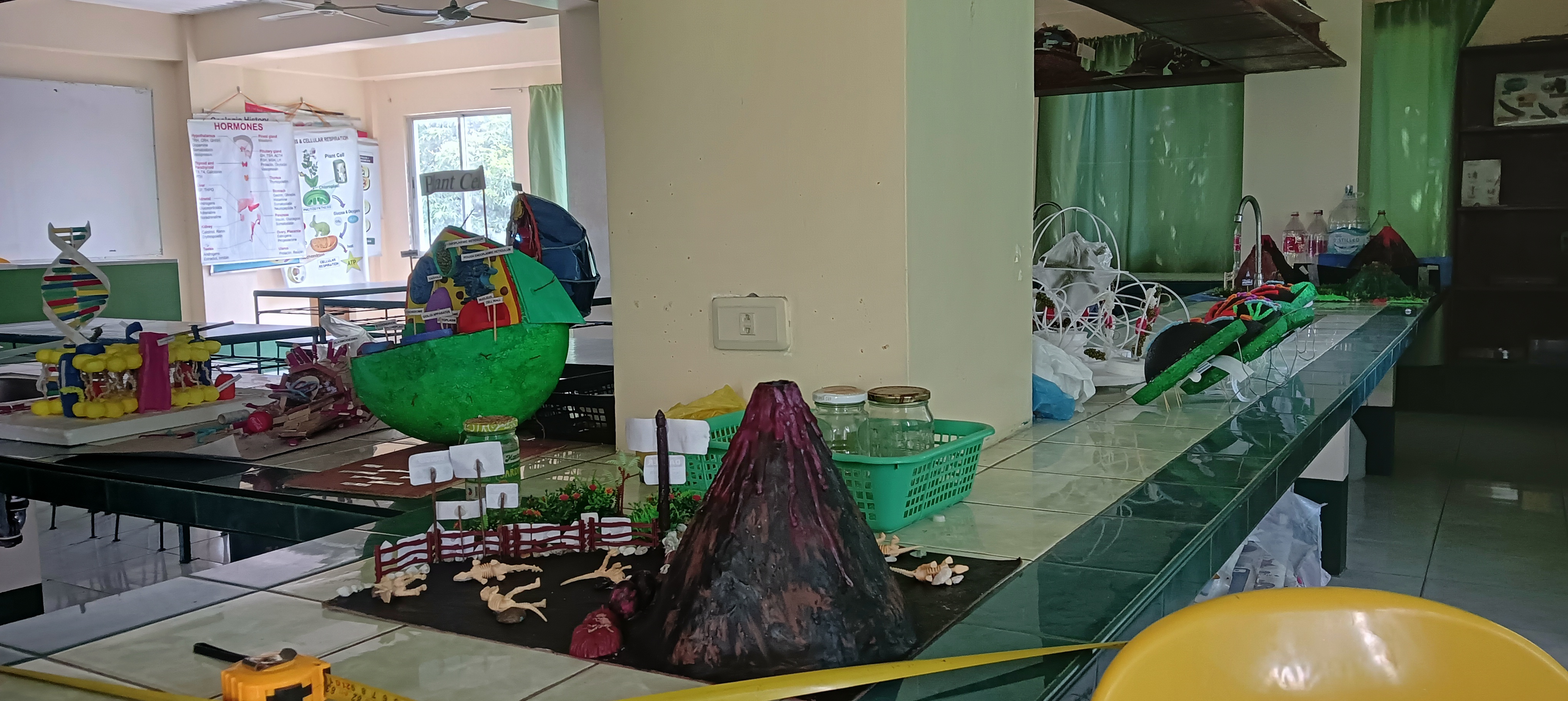 biology3